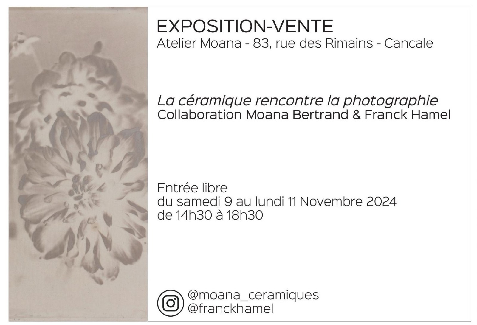 Exposition Vente